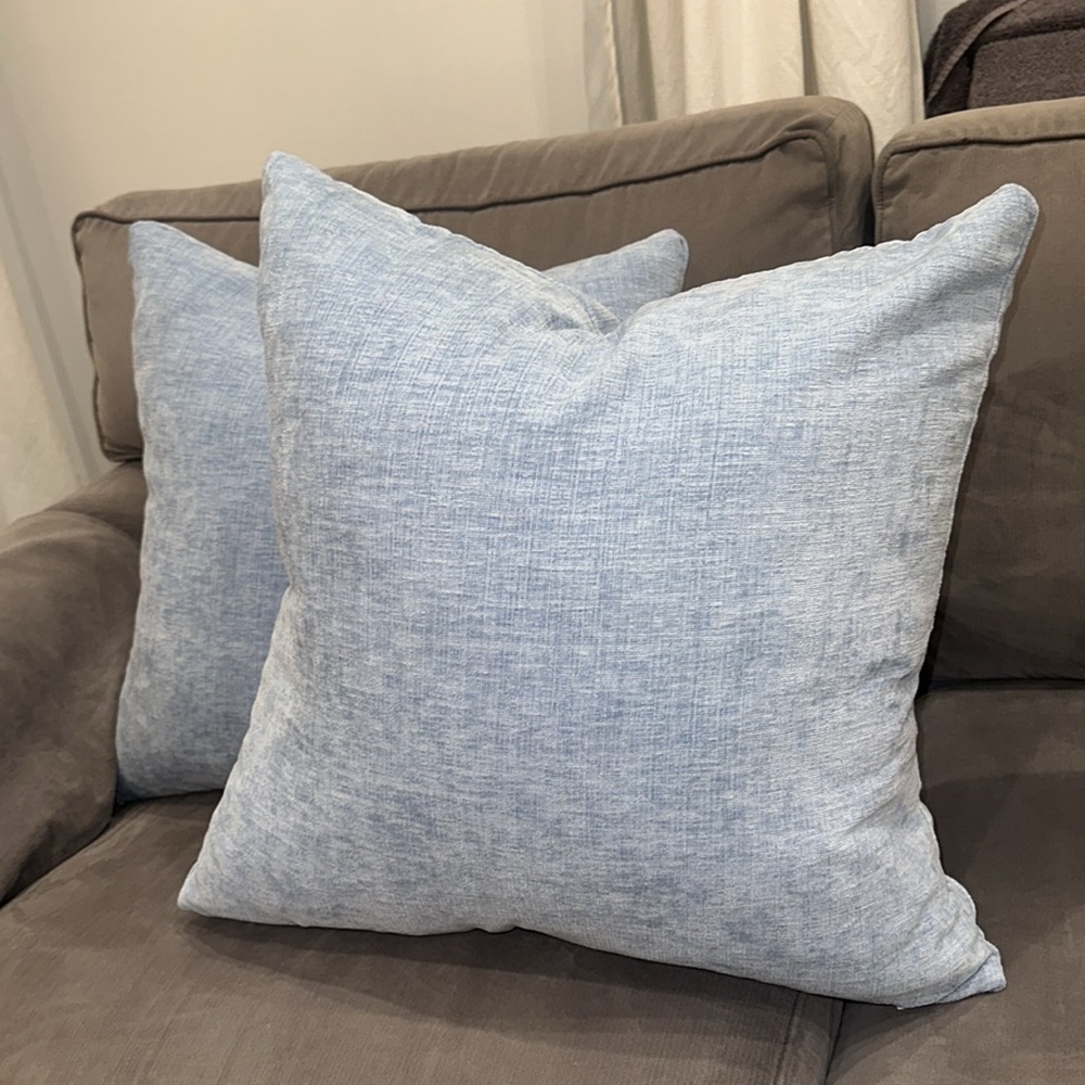 Two Elegant Blue Throw Pillows